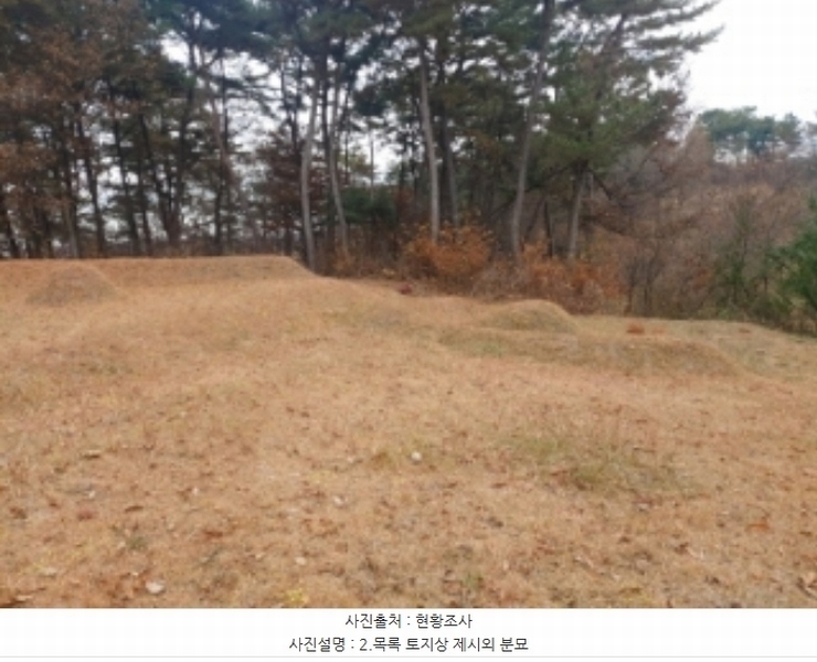 2024타경60976 충청남도 당진시 송악읍 중흥리 산137-2 임야 경매 이미지