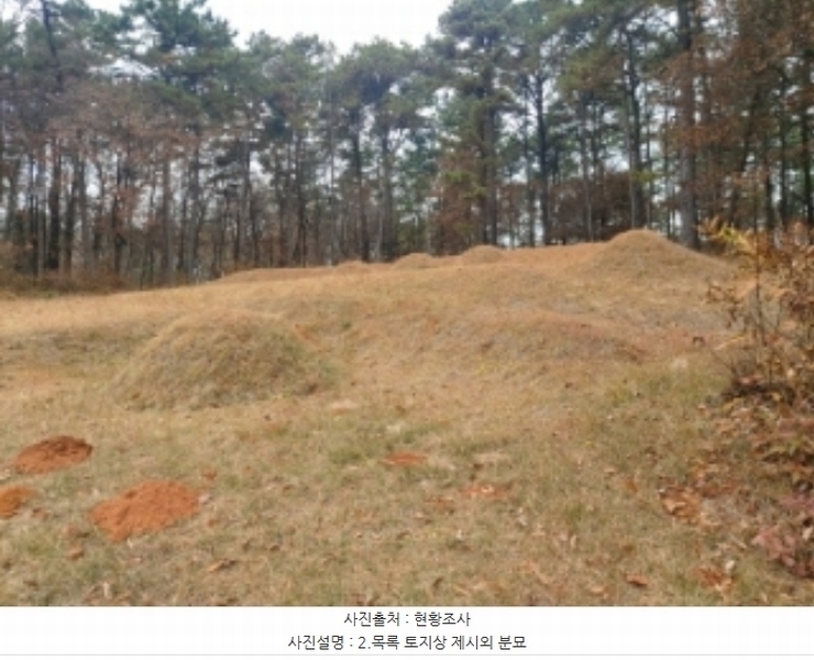 2024타경60976 충청남도 당진시 송악읍 중흥리 산137-2 임야 경매 이미지