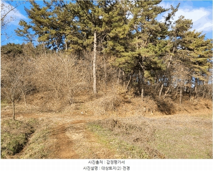 2024타경60976 충청남도 당진시 송악읍 중흥리 산137-2 임야 경매 이미지