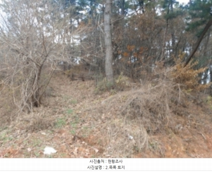 2024타경60976 충청남도 당진시 송악읍 중흥리 산137-2 임야 경매 이미지