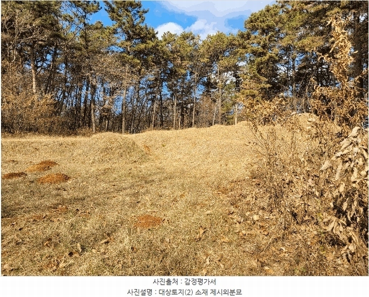 2024타경60976 충청남도 당진시 송악읍 중흥리 산137-2 임야 경매 이미지