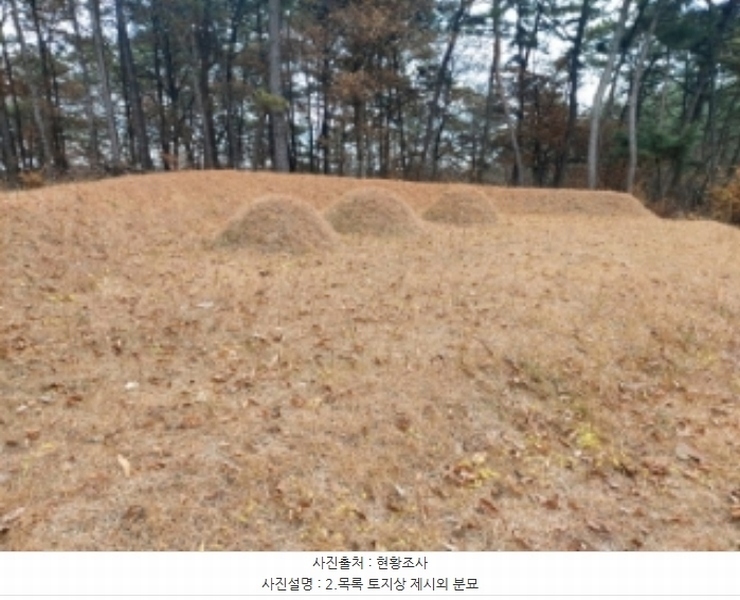 2024타경60976 충청남도 당진시 송악읍 중흥리 산137-2 임야 경매 이미지