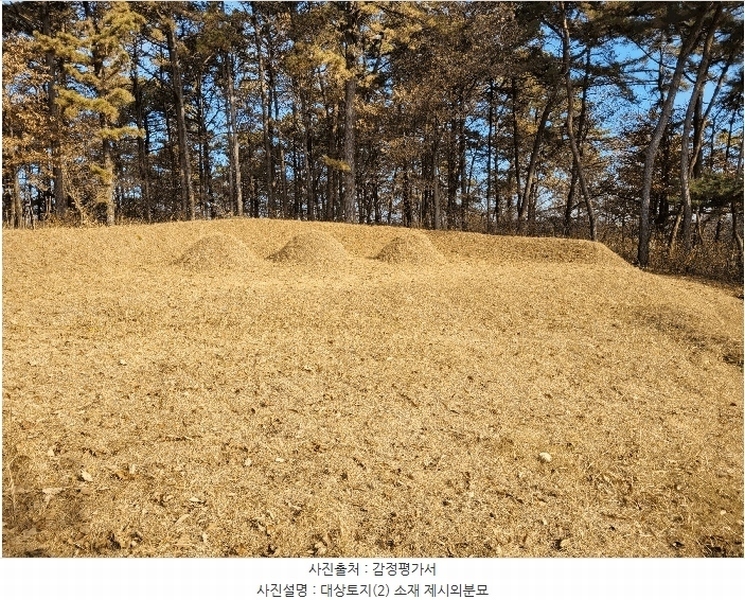 2024타경60976 충청남도 당진시 송악읍 중흥리 산137-2 임야 경매 이미지