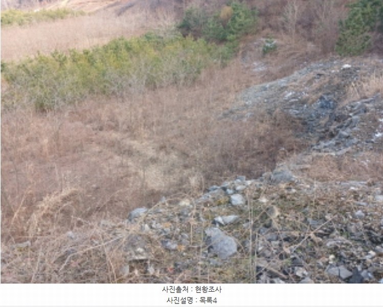 2024타경62064 충청남도 당진시 대호지면 장정리 380-1 임야 경매 이미지