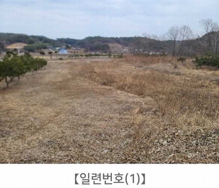 2024타경62064 충청남도 당진시 대호지면 장정리 380-1 임야 경매 이미지
