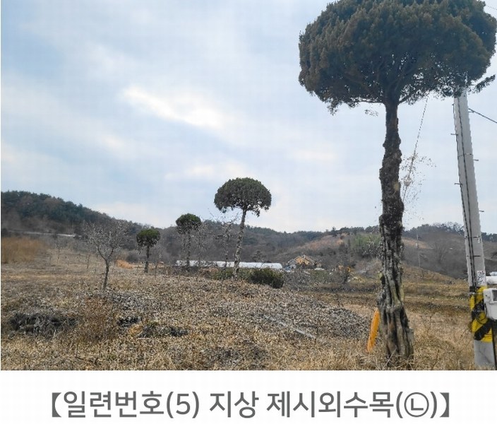 2024타경62064 충청남도 당진시 대호지면 장정리 380-1 임야 경매 이미지