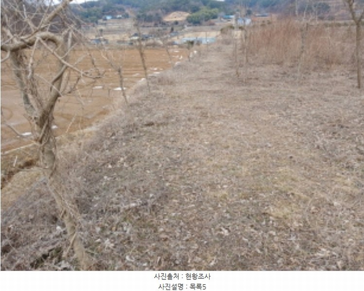2024타경62064 충청남도 당진시 대호지면 장정리 380-1 임야 경매 이미지