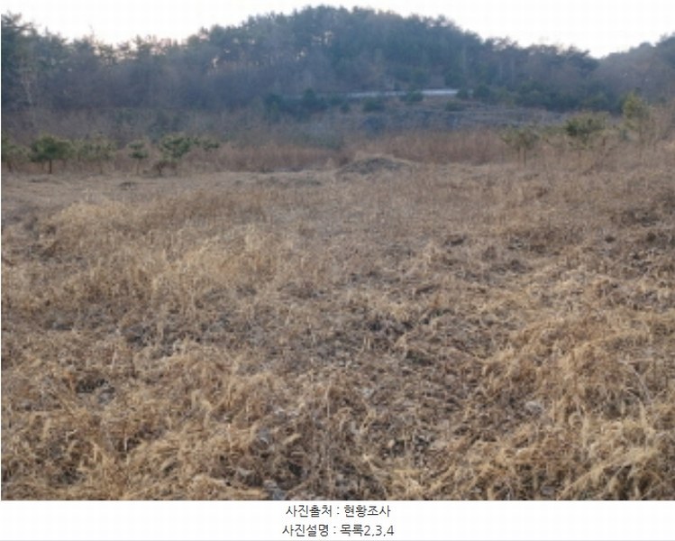 2024타경62064 충청남도 당진시 대호지면 장정리 380-1 임야 경매 이미지