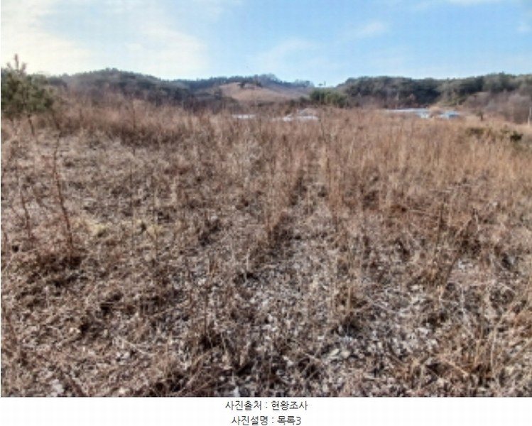 2024타경62064 충청남도 당진시 대호지면 장정리 380-1 임야 경매 이미지