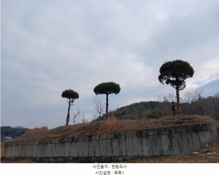 2024타경62064 충청남도 당진시 대호지면 장정리 380-1 임야 경매 이미지