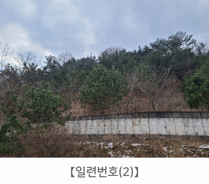 2024타경62064 충청남도 당진시 대호지면 장정리 380-1 임야 경매 이미지