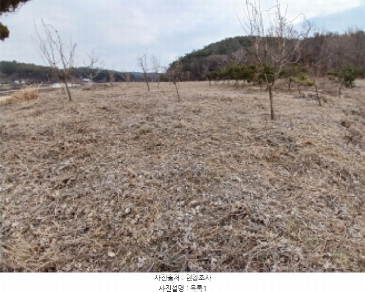 2024타경62064 충청남도 당진시 대호지면 장정리 380-1 임야 경매 이미지