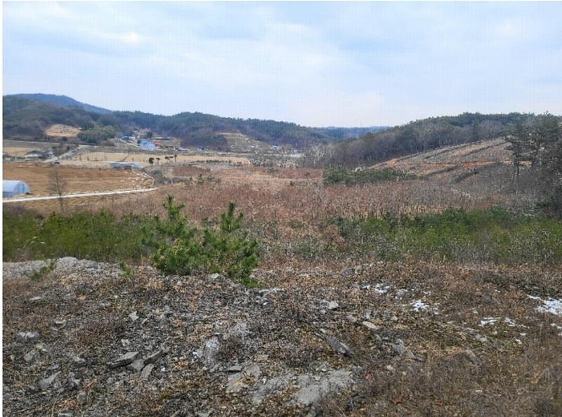 2024타경62064 충청남도 당진시 대호지면 장정리 380-1 임야 경매 이미지