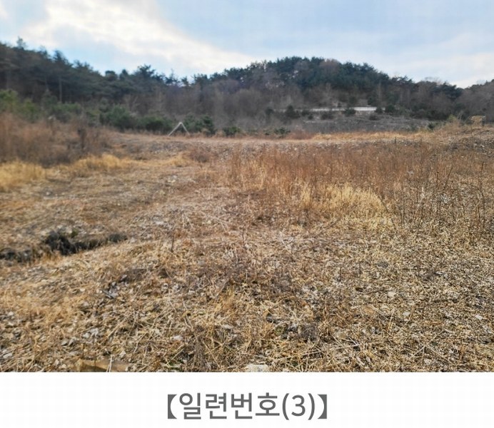 2024타경62064 충청남도 당진시 대호지면 장정리 380-1 임야 경매 이미지