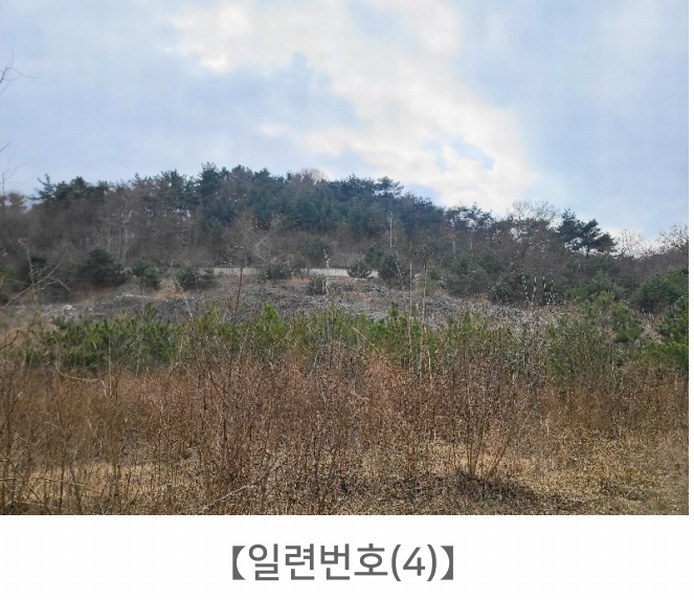 2024타경62064 충청남도 당진시 대호지면 장정리 380-1 임야 경매 이미지