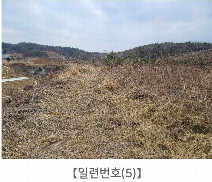 2024타경62064 충청남도 당진시 대호지면 장정리 380-1 임야 경매 이미지