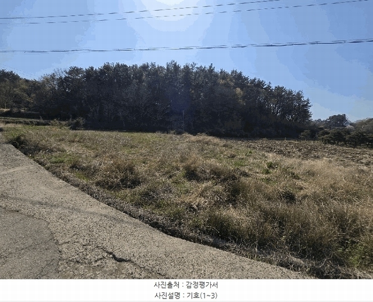 2025타경511 경상남도 남해군 삼동면 영지리 2625-5 농지 경매 이미지