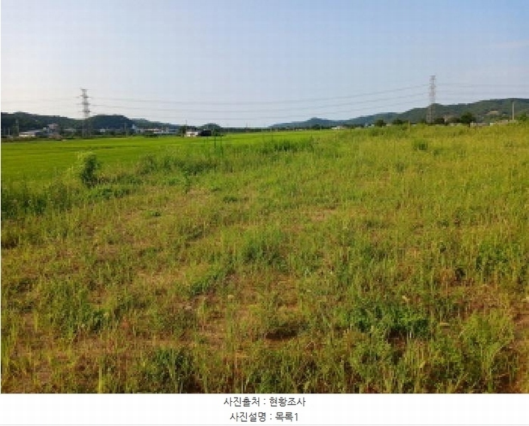 2025타경719 충청남도 당진시 정미면 대운산리 269 농지 경매 이미지