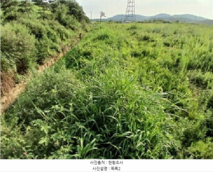 2025타경719 충청남도 당진시 정미면 대운산리 269 농지 경매 이미지