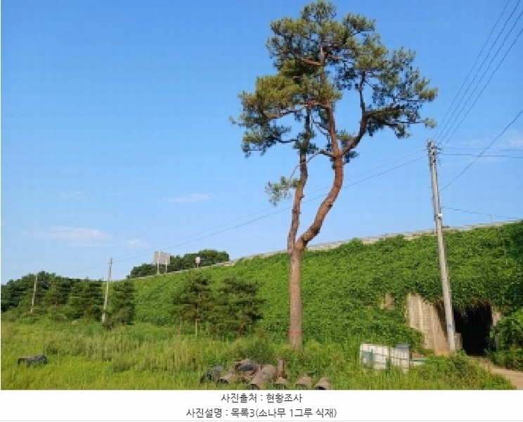 2025타경719 충청남도 당진시 정미면 대운산리 269 농지 경매 이미지