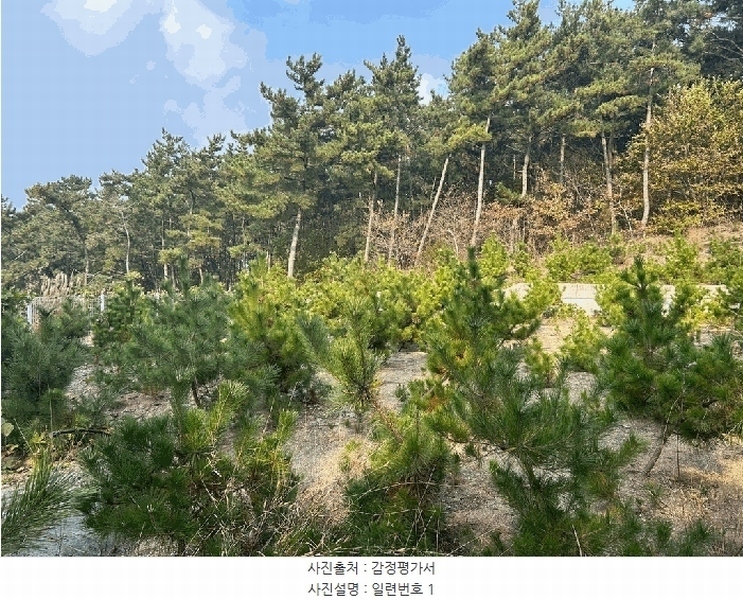 2025타경51072 충청남도 서산시 대산읍 오지리 438-76 임야 경매 이미지