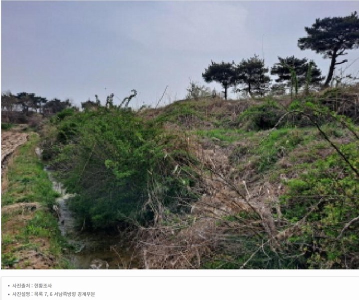 2025타경51127 충청남도 당진시 신평면 매산리 95-137 잡종지 경매 이미지