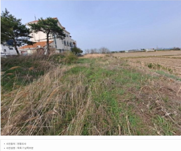 2025타경51127 충청남도 당진시 신평면 매산리 95-137 잡종지 경매 이미지