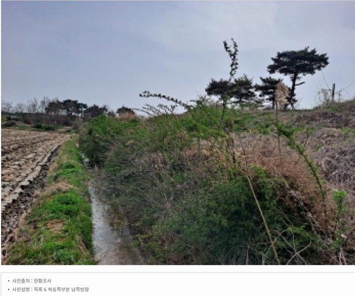 2025타경51127 충청남도 당진시 신평면 매산리 95-137 잡종지 경매 이미지