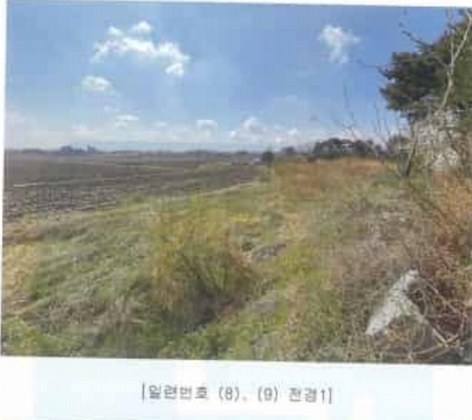 2025타경51127 충청남도 당진시 신평면 매산리 95-137 잡종지 경매 이미지