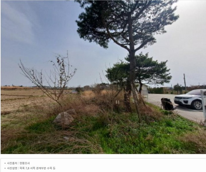 2025타경51127 충청남도 당진시 신평면 매산리 95-137 잡종지 경매 이미지