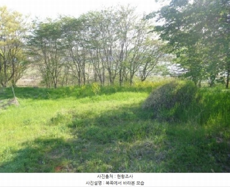 2025타경51234 충청남도 태안군 고남면 고남리 1304 농지 경매 이미지