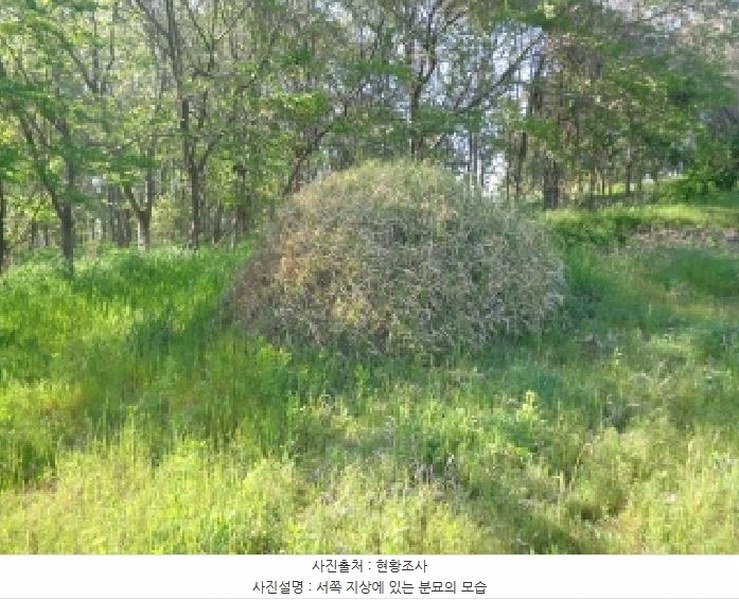2025타경51234 충청남도 태안군 고남면 고남리 1304 농지 경매 이미지