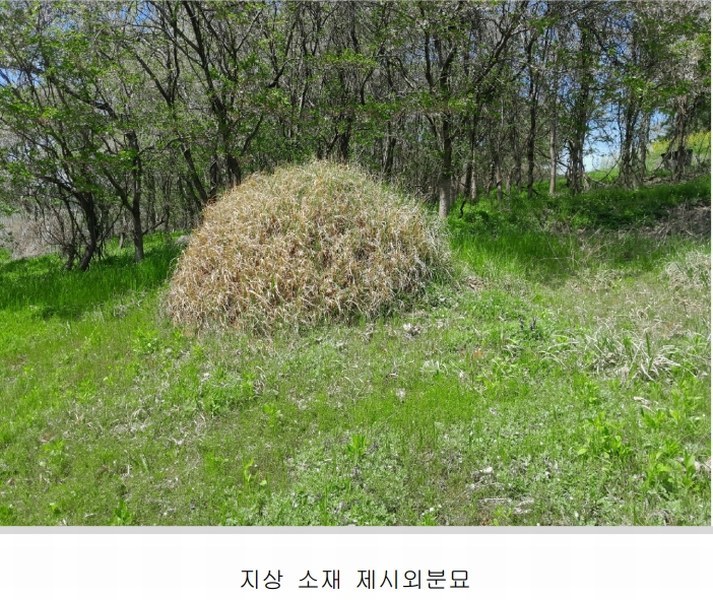 2025타경51234 충청남도 태안군 고남면 고남리 1304 농지 경매 이미지