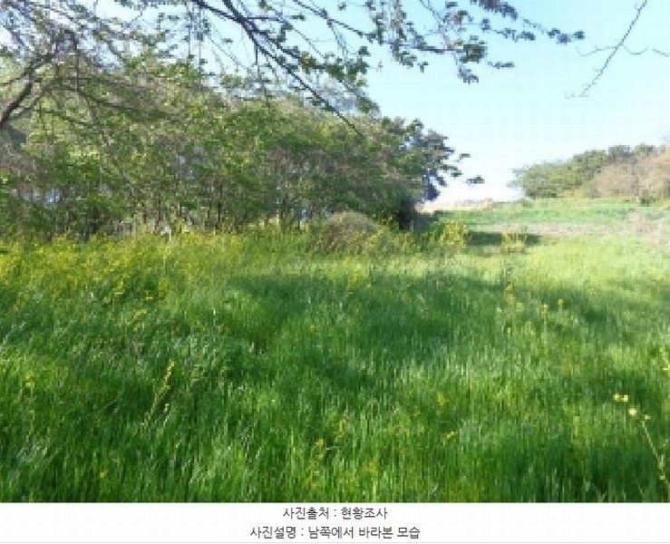 2025타경51234 충청남도 태안군 고남면 고남리 1304 농지 경매 이미지