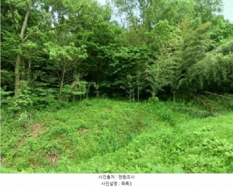 2025타경51254 충청남도 서산시 성연면 왕정리 53 임야 경매 이미지