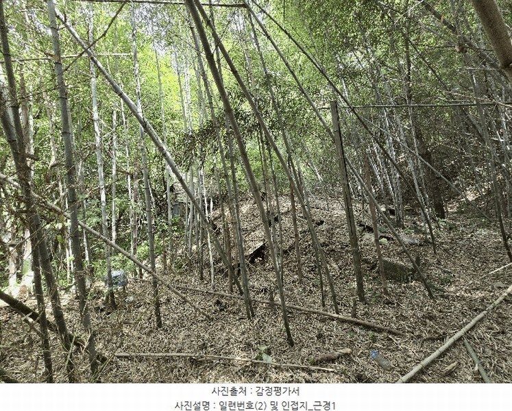 2025타경51254 충청남도 서산시 성연면 왕정리 53 임야 경매 이미지