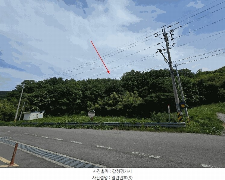 2025타경51254 충청남도 서산시 성연면 왕정리 53 임야 경매 이미지