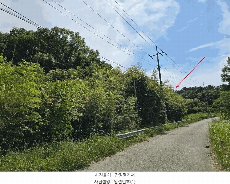 2025타경51254 충청남도 서산시 성연면 왕정리 53 임야 경매 이미지