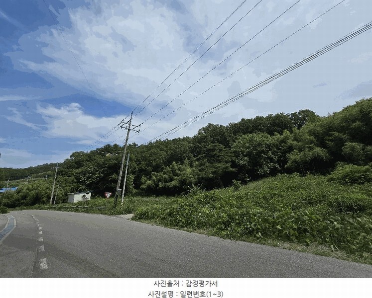 2025타경51254 충청남도 서산시 성연면 왕정리 53 임야 경매 이미지