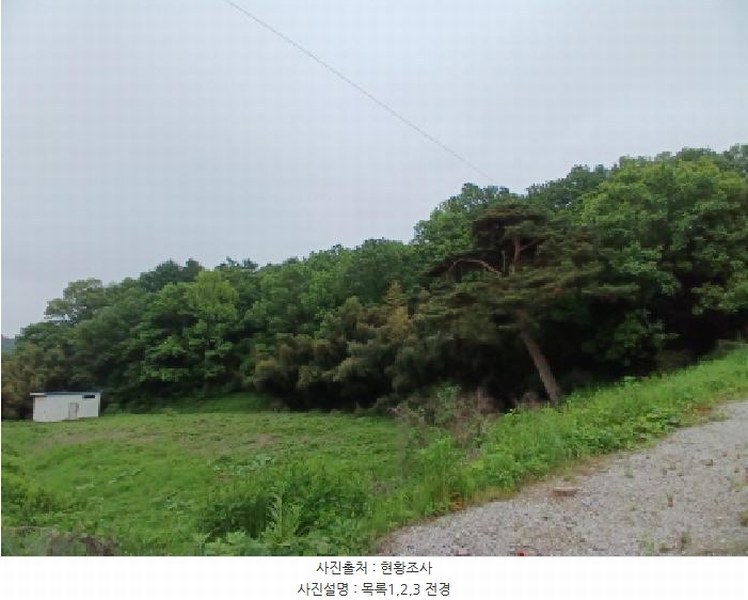2025타경51254 충청남도 서산시 성연면 왕정리 53 임야 경매 이미지