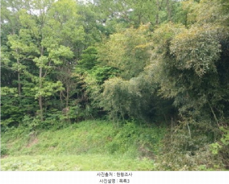 2025타경51254 충청남도 서산시 성연면 왕정리 53 임야 경매 이미지