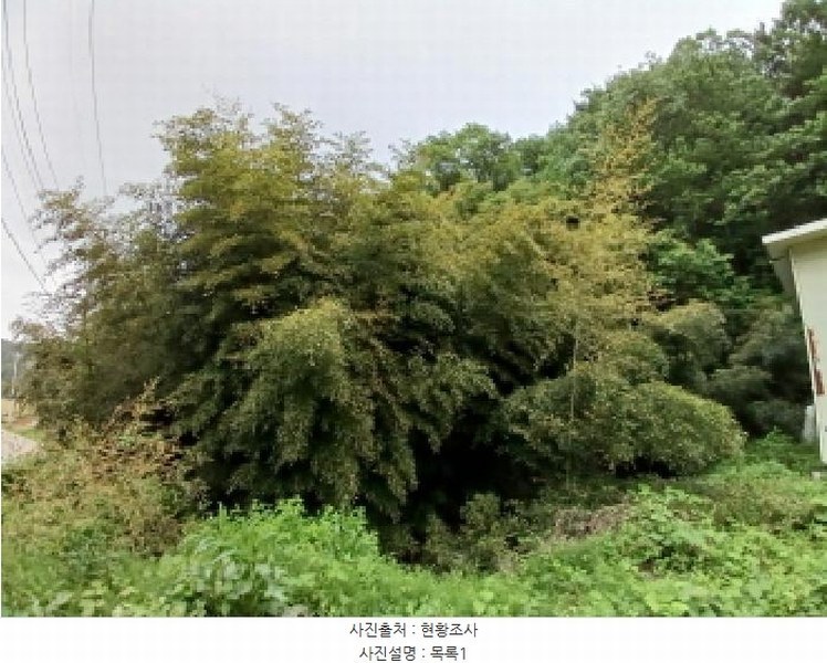 2025타경51254 충청남도 서산시 성연면 왕정리 53 임야 경매 이미지