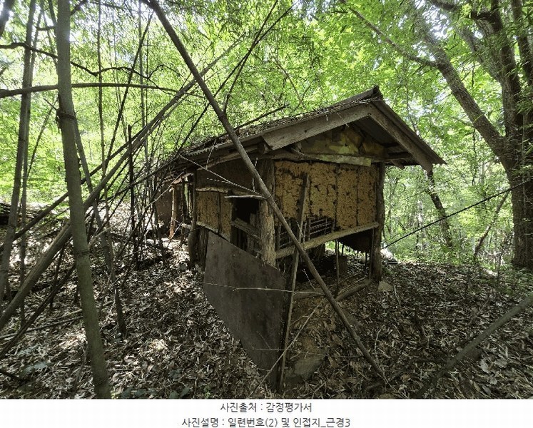 2025타경51254 충청남도 서산시 성연면 왕정리 53 임야 경매 이미지