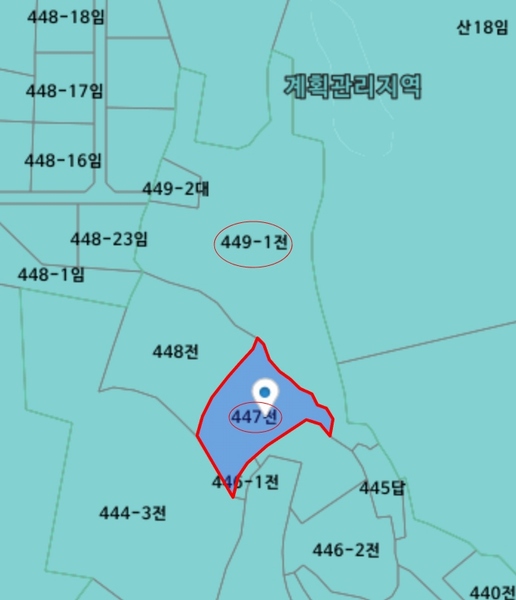 2025타경51343 충청남도 당진시 대호지면 조금리 447 농지 경매 이미지