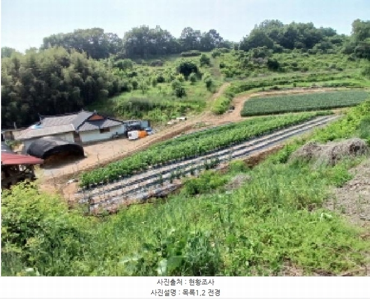 2025타경51343 충청남도 당진시 대호지면 조금리 447 농지 경매 이미지