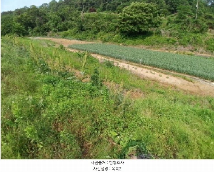 2025타경51343 충청남도 당진시 대호지면 조금리 447 농지 경매 이미지