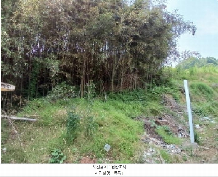 2025타경51343 충청남도 당진시 대호지면 조금리 447 농지 경매 이미지
