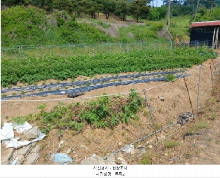 2025타경51343 충청남도 당진시 대호지면 조금리 447 농지 경매 이미지