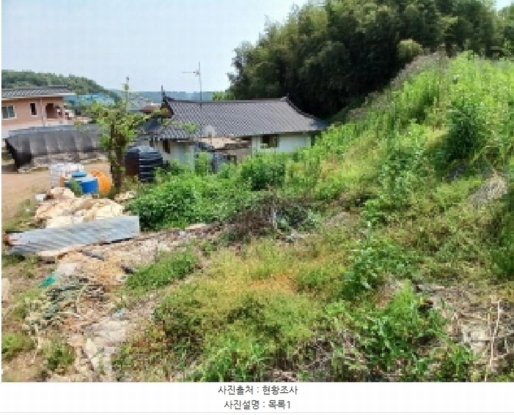 2025타경51343 충청남도 당진시 대호지면 조금리 447 농지 경매 이미지