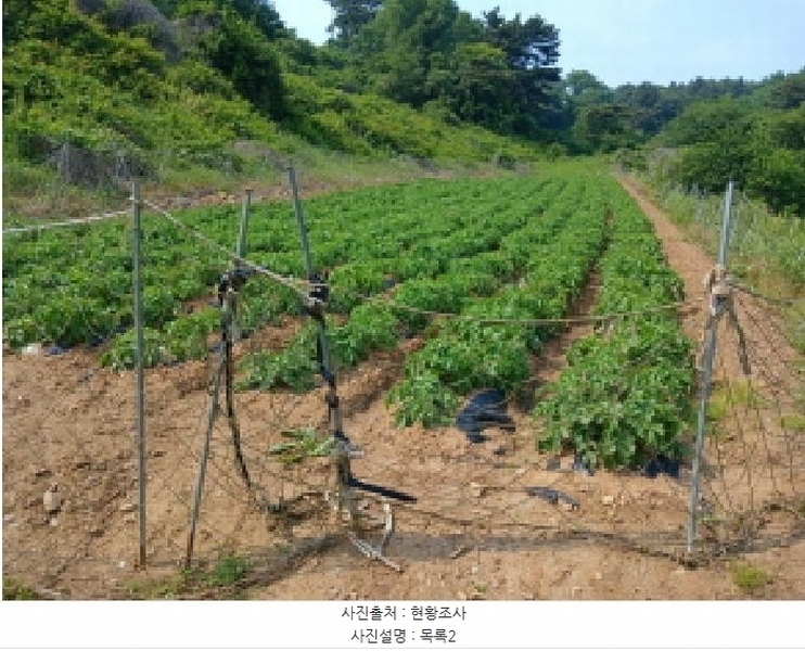 2025타경51343 충청남도 당진시 대호지면 조금리 447 농지 경매 이미지